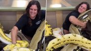 Woman Cuddles with Huge Pythons: विशाल अजगर के साथ लिपटती दिखी महिला, वीडियो देख लोग शॉक में लोग